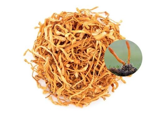 SugaNorm contiene cordyceps