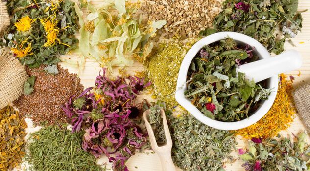 Piante medicinali che aiutano a combattere il diabete